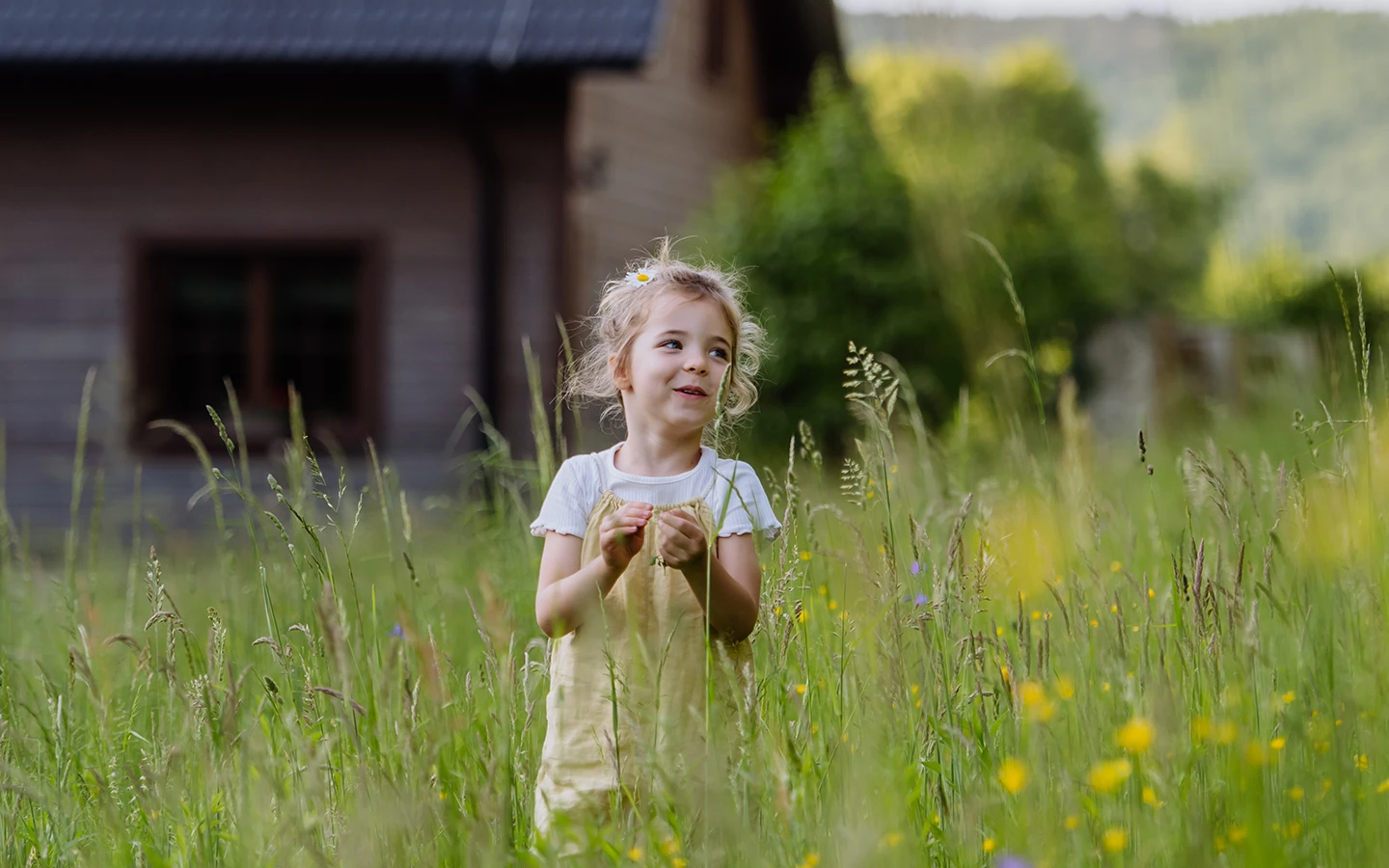 Natur und Umgebung rund um den Wertacher Hof in Wertach im Allgäu entdecken
