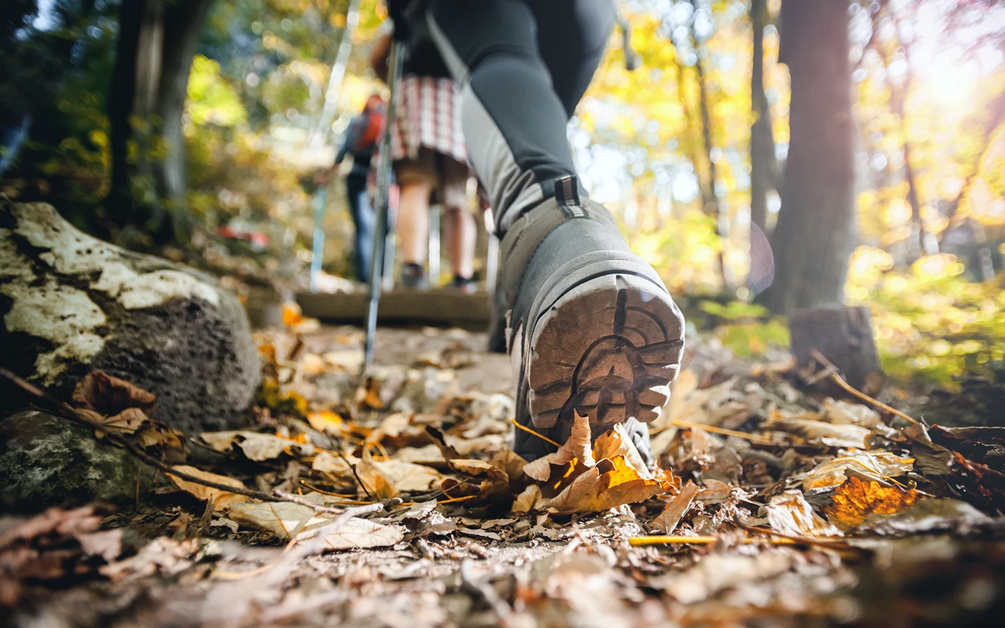 Wandern in der Natur rund um den Wertacher Hof in Wertach im Allgäu