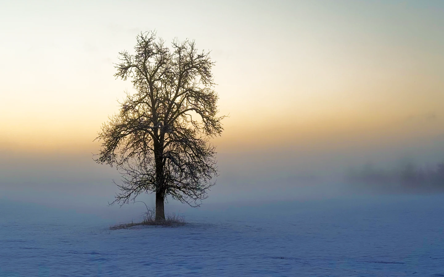 Skifahrer auf der Piste unweit des Sonneck-Stüberls bei Balderschwang – Winterspaß im schneesicheren Allgäu für Groß und Klein